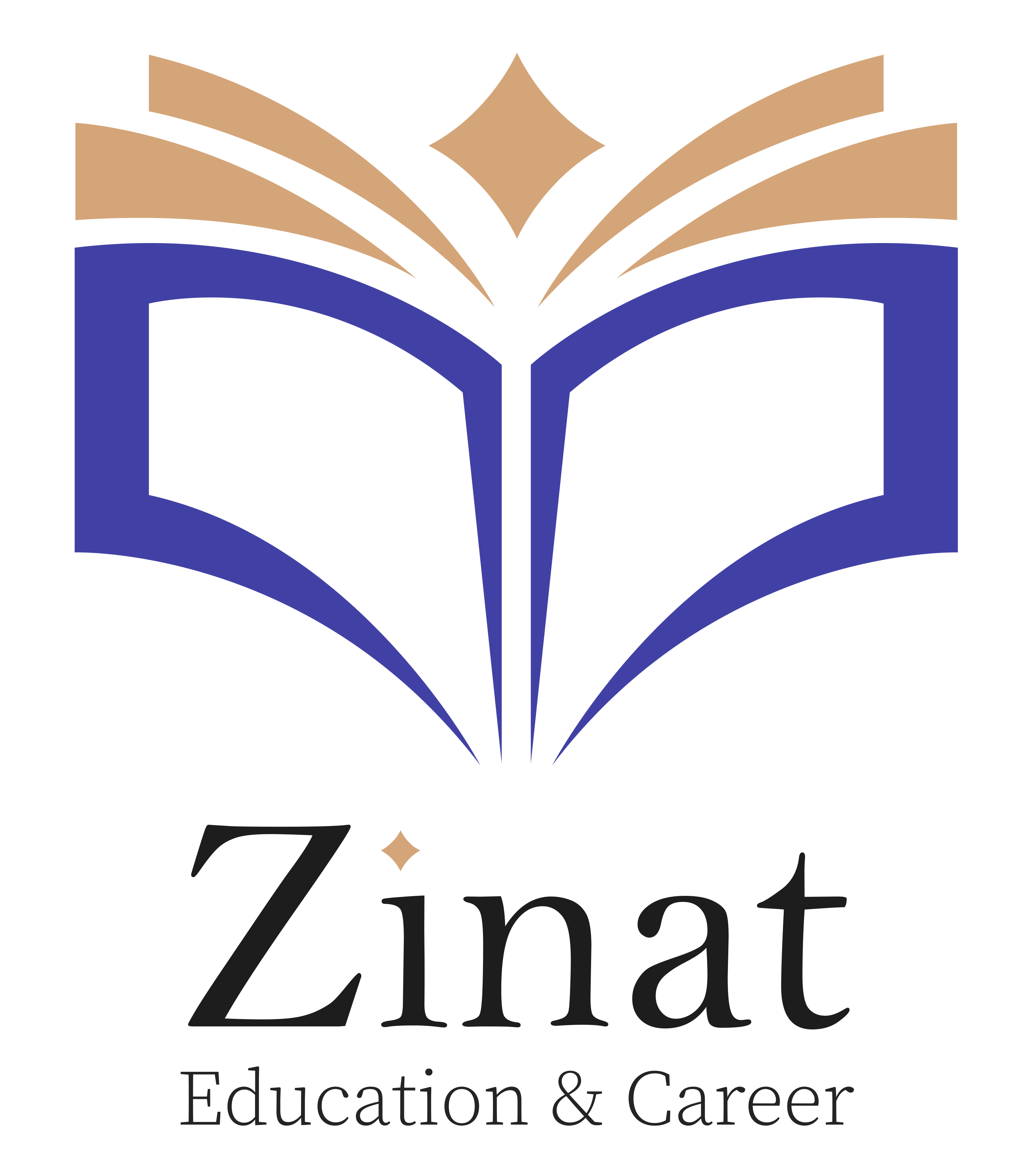 Zinat Education & Career